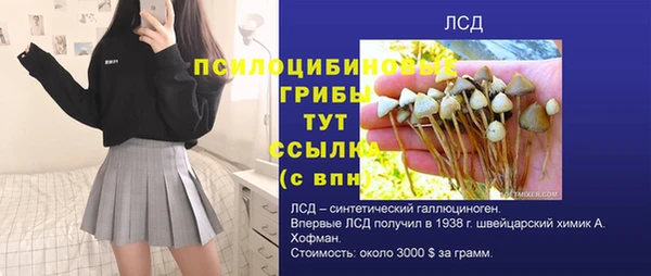 ешки Алзамай