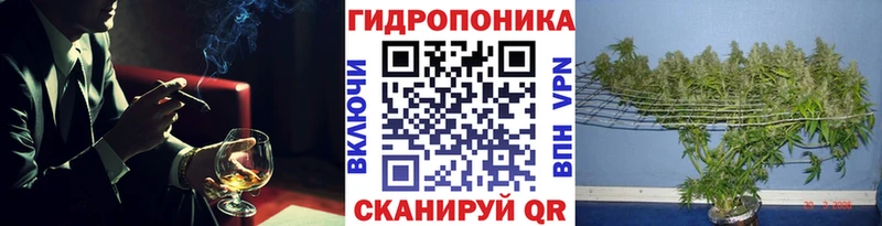 KRAKEN ссылка  Хотьково  Каннабис ГИДРОПОН 